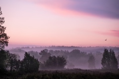 DSC_0327