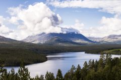 dsc8164_45102356082_o