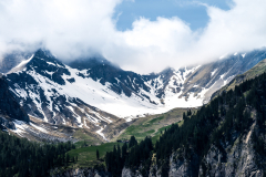 dsc_2660_34931176206_o