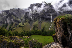 dsc_3805_36264579854_o